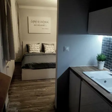 公寓 Grey Centrum *